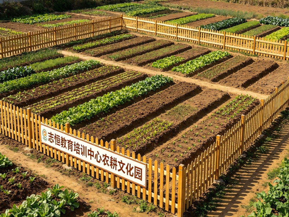 新乡青少年叛逆期管教学校位置与选择参考